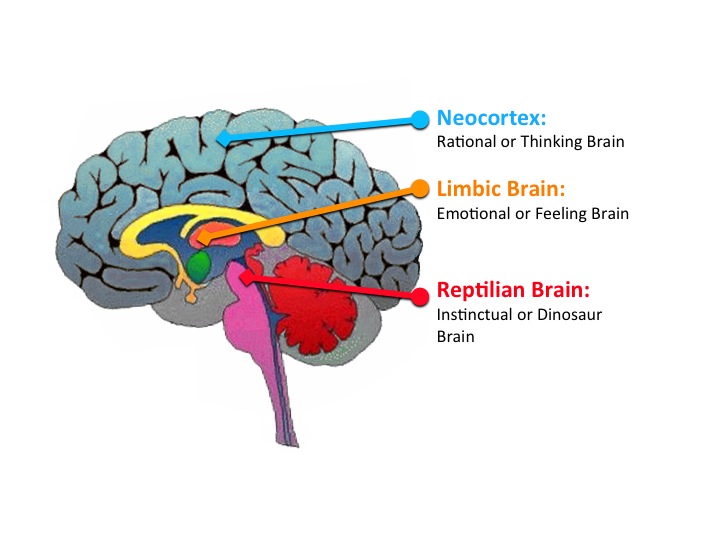 piece of brain emotional