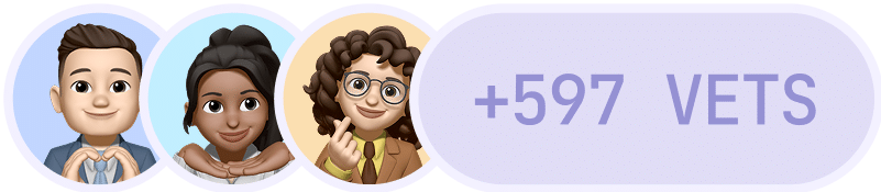 Three illustrated avatars—a man, a woman with dark hair, and a woman with glasses—are shown next to text that reads "+597 VETS" on a purple background.