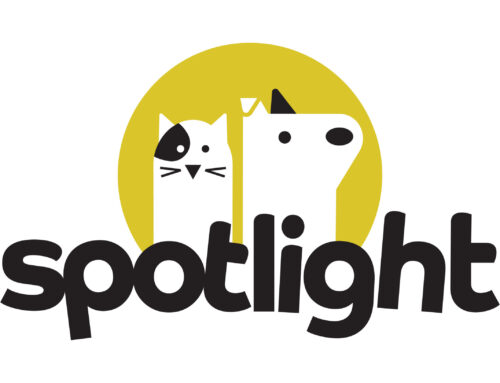 Spotlight is the Plumbing for Contextualized Care