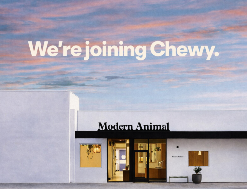 They’re Not Coming for Your Practice. They’re Coming for Your Client. What Chewy’s acquisition of Modern Animal actually means for independent veterinary practices.